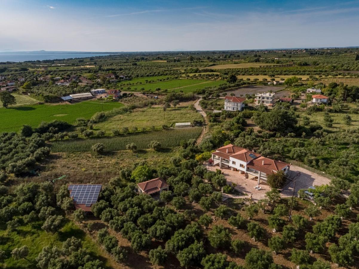 Ionianeon Apartments Agios Ilias  Buitenkant foto