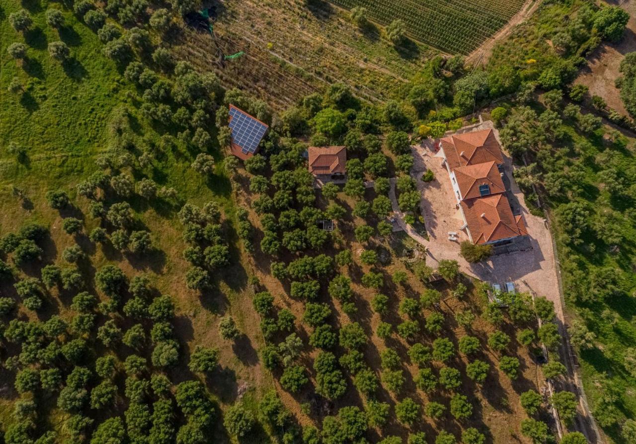 Ionianeon Apartments Agios Ilias  Buitenkant foto